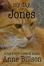 my day by jones the cat